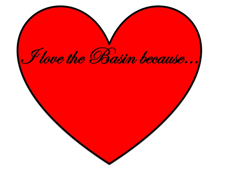 love_the_basin_logo