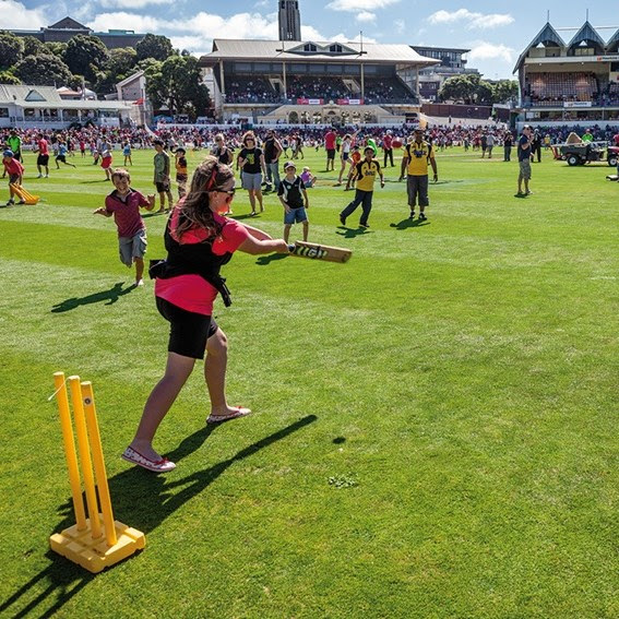 Kids playing cricket at the Basin Reserve